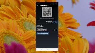 screenshot of the Mycelium cryptocurrency wallet
