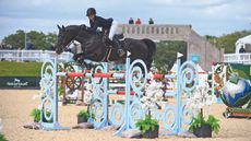 Arena-Uk-Winston_BIHS_PN19_29116_302996561_504641612.jpg