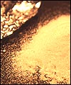B129DEE3-9DA2-456A-B604-FE1E5F8CC2BC.jpg