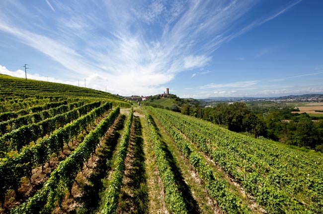 Barbaresco Vigna Loreto