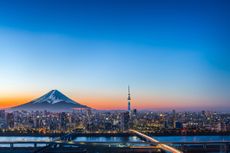 Tokyo skyline aerial view, Japan