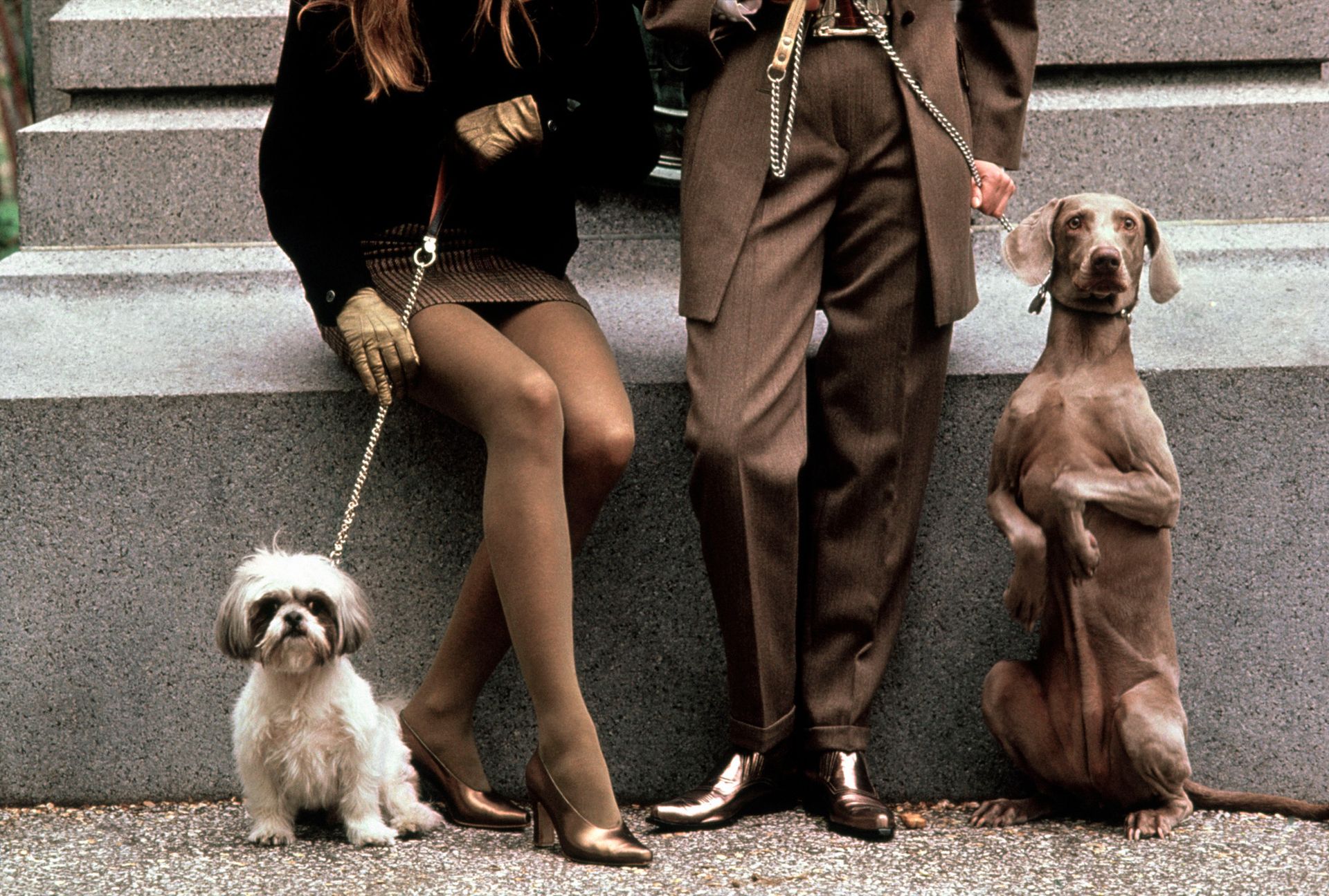 Magnum photographer Elliott Erwitt's USA. New York City. 1989. Legs of man and woman with their dogs