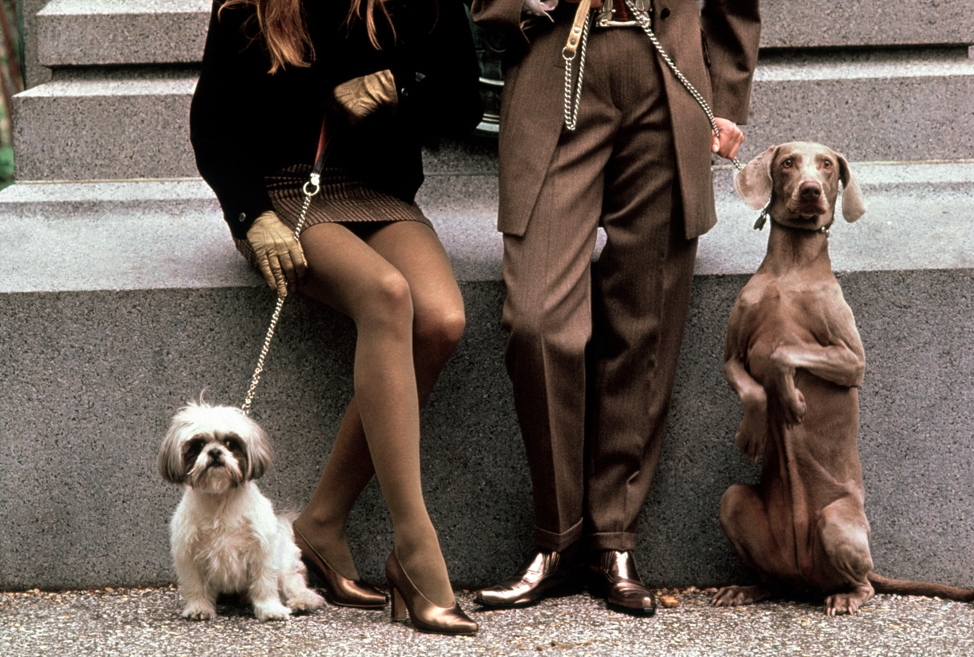 USA. New York City. 1989. Legs of man and woman with their dogs.