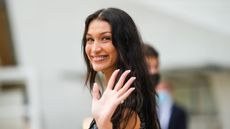 bella hadid waving against a white background