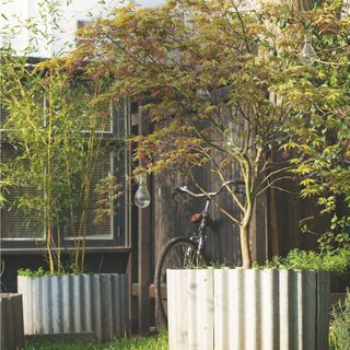 Potted trees in metal containers in garden