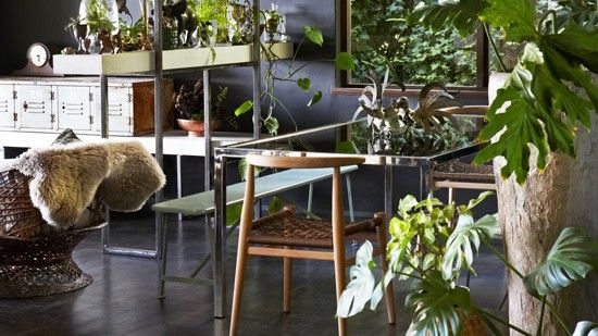 Interior garden ideas: How to bring the outside in this spring | Ideal Home