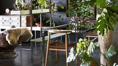 garden room with grey wall and wooden flooring and plants
