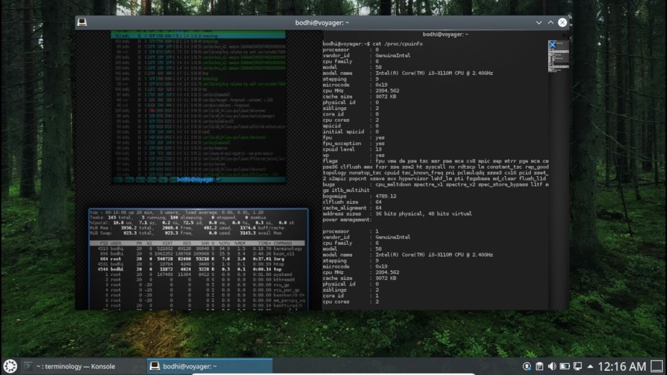 windows 10 terminal emulator