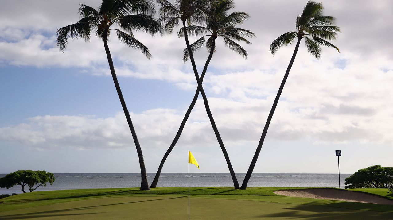 Waialae Country Club palm trees, Sony Open 2022 Live Stream