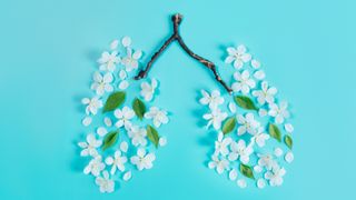 lung health illustrated by flowers for how to breathe better