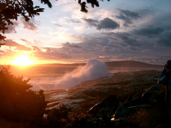 summer-maine