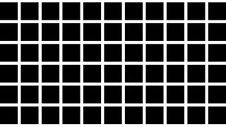 A grid of black squares with white lines in between them