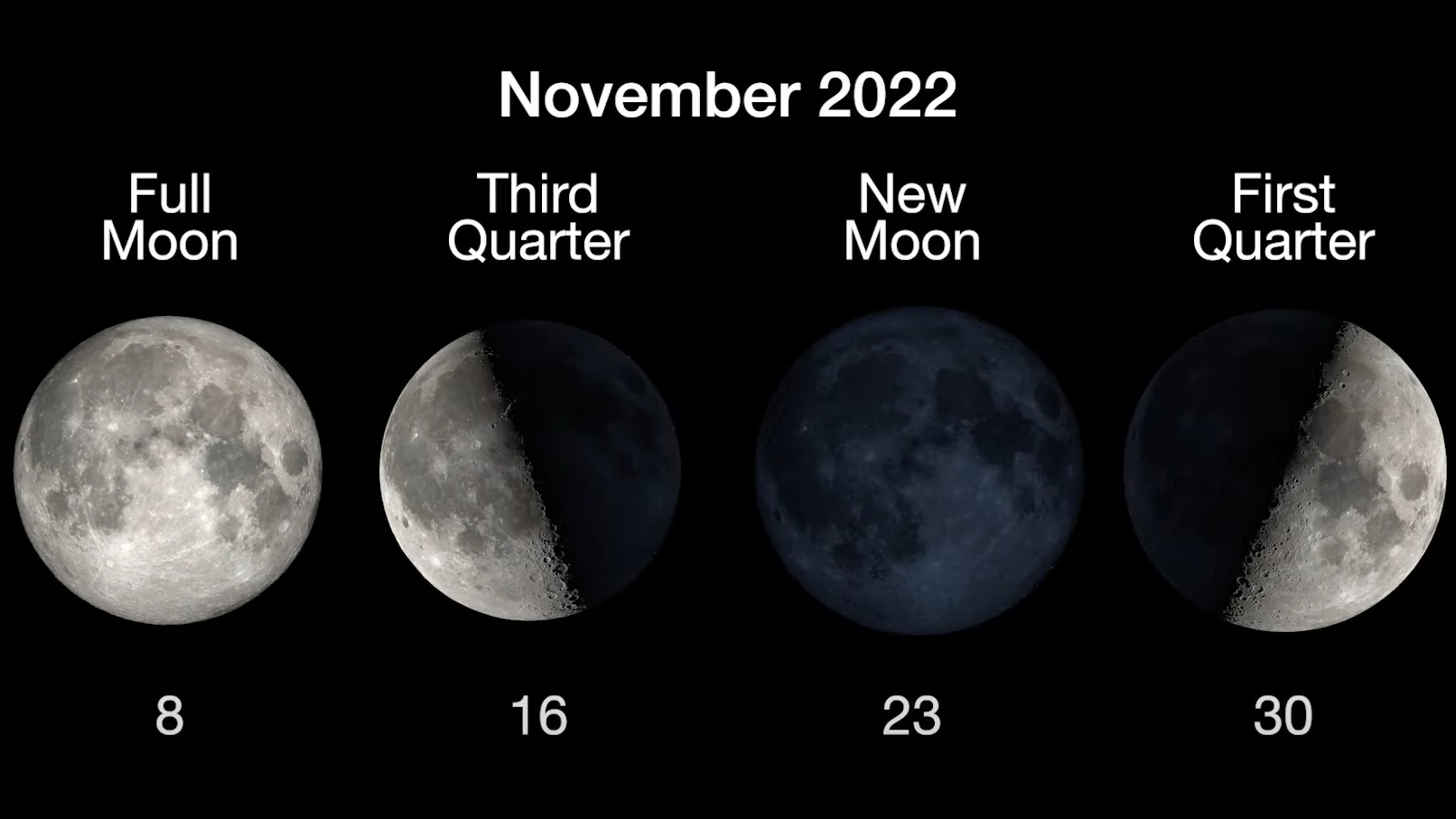 Graphic showing the moon phases and dates in November. The full moon is Nov. 8, the Third Quarter is Nov. 16, the New Moon is Nov. 23 and the First Quarter is Nov. 30.