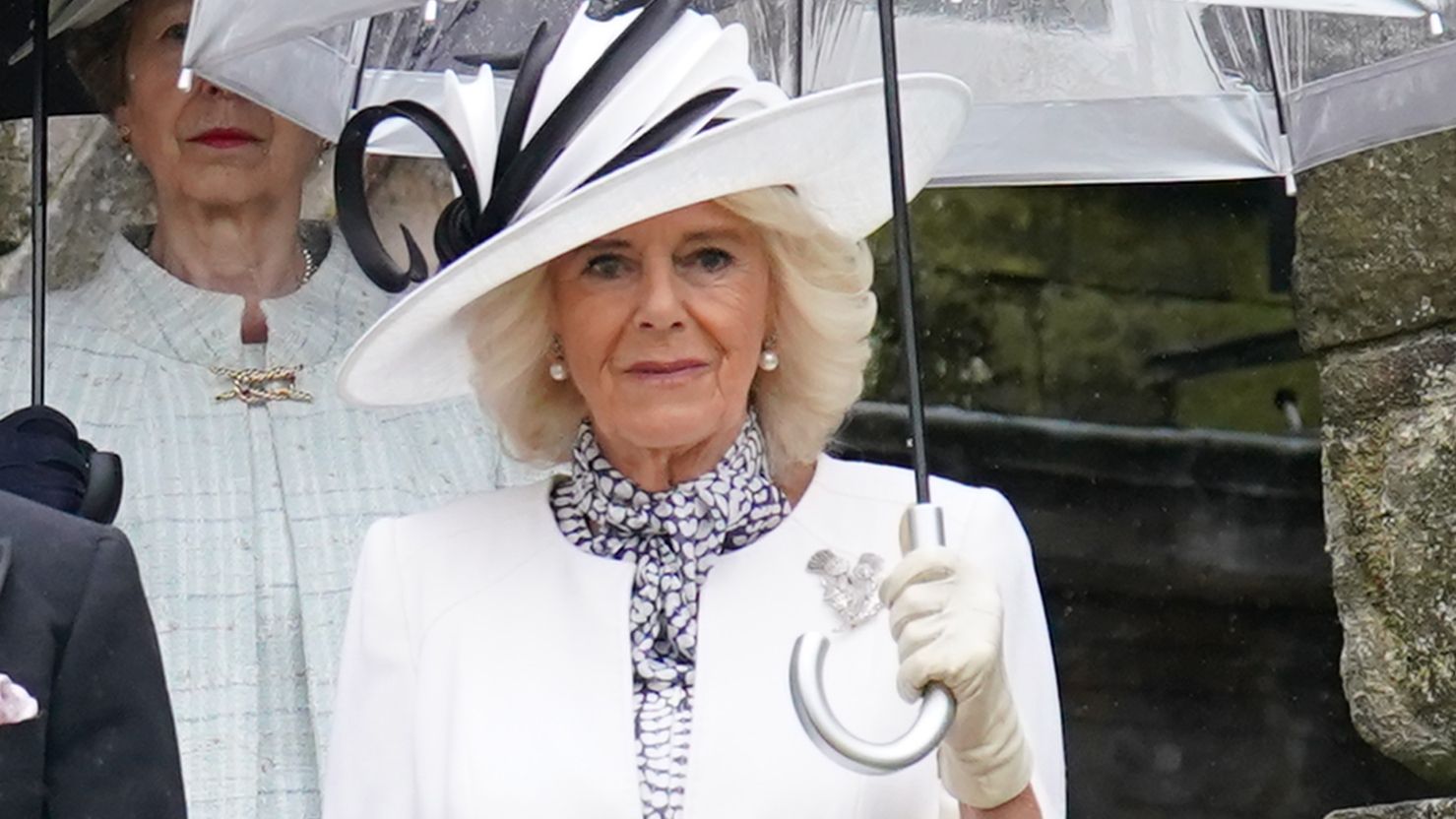 Queen Camilla at a garden party