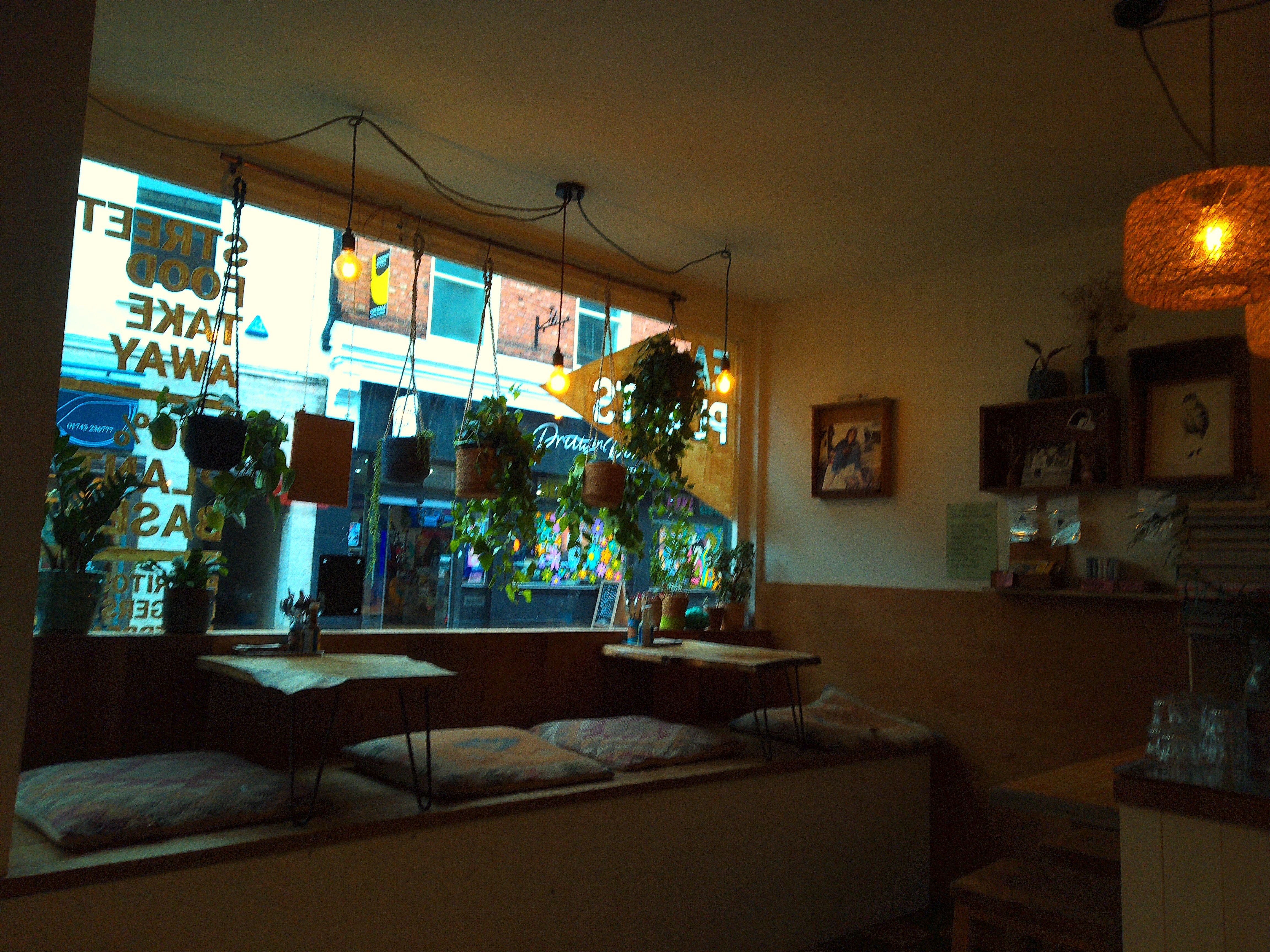 Images taken using the Camp Snap CS-Pro