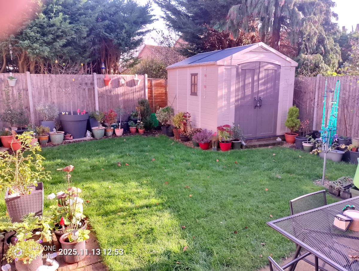 Ulefone Rugking camera examples
