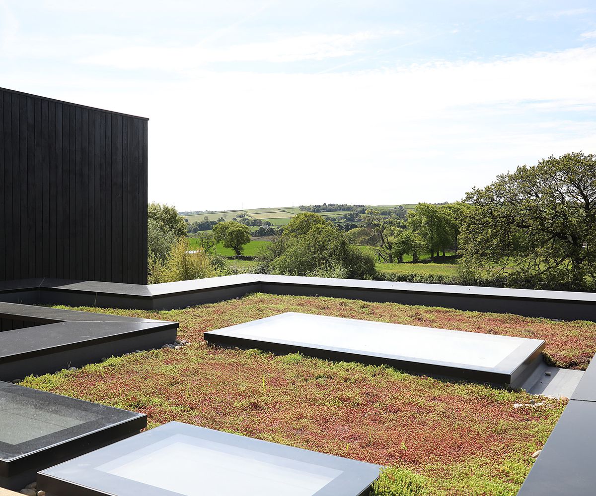 A zinc and green planted flat roof with built in sky lights. Further afield are countryside views