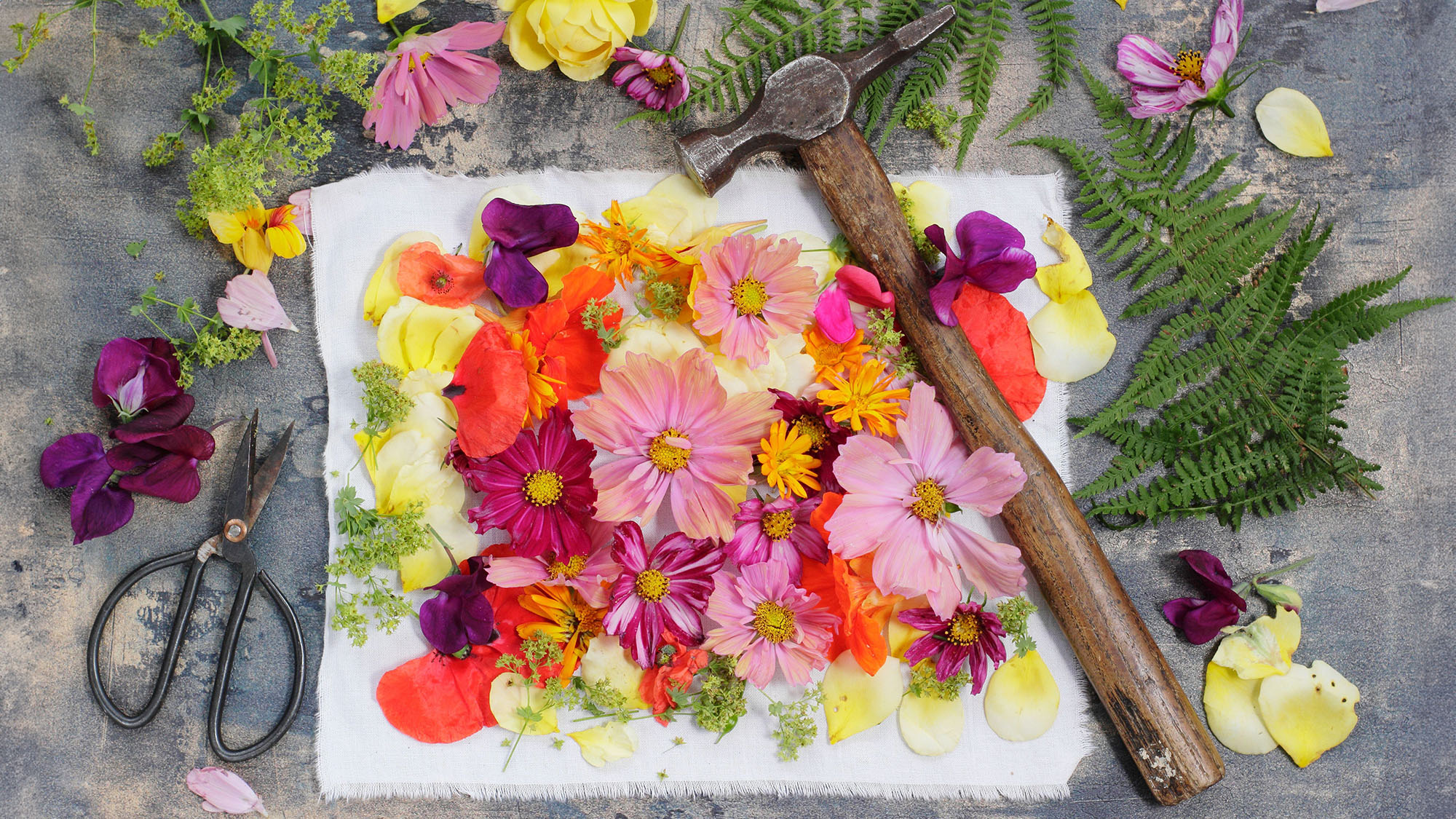 Flowers arranged on fabric to create a print by 'hammer pounding', the Japanese art form of hammering blooms to transfer plant pigment.