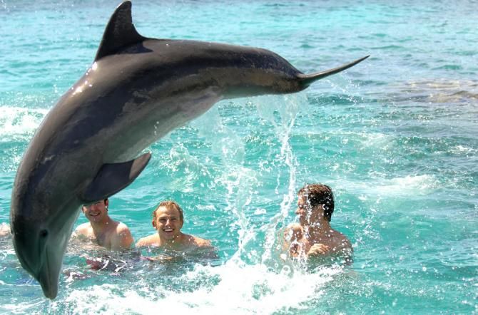 Gerald Ciolek enjoys the dolphin show