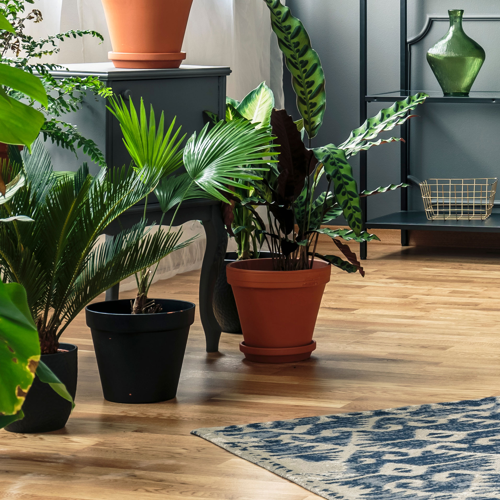 How To Protect Wood Floors From Potted Plants: Keep Floors And Other Wooden Surfaces Safe