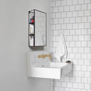 bathroom with napkin basin and mirror