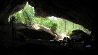 A view looking from inside a dark cave through an opening where a lush green jungle lies beyond.