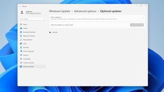 Windows 11 optional updates settings screen