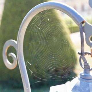 Cobweb on metal garden furniture with a green bush in the background