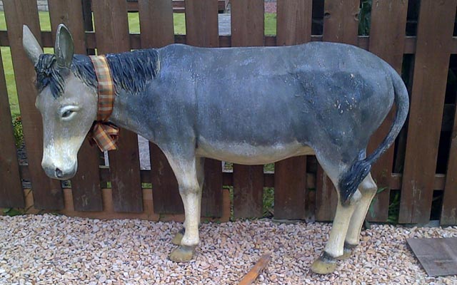 Joshua-the-donkey.jpg