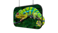 The new Planar Chameleon and Mosaic Series.