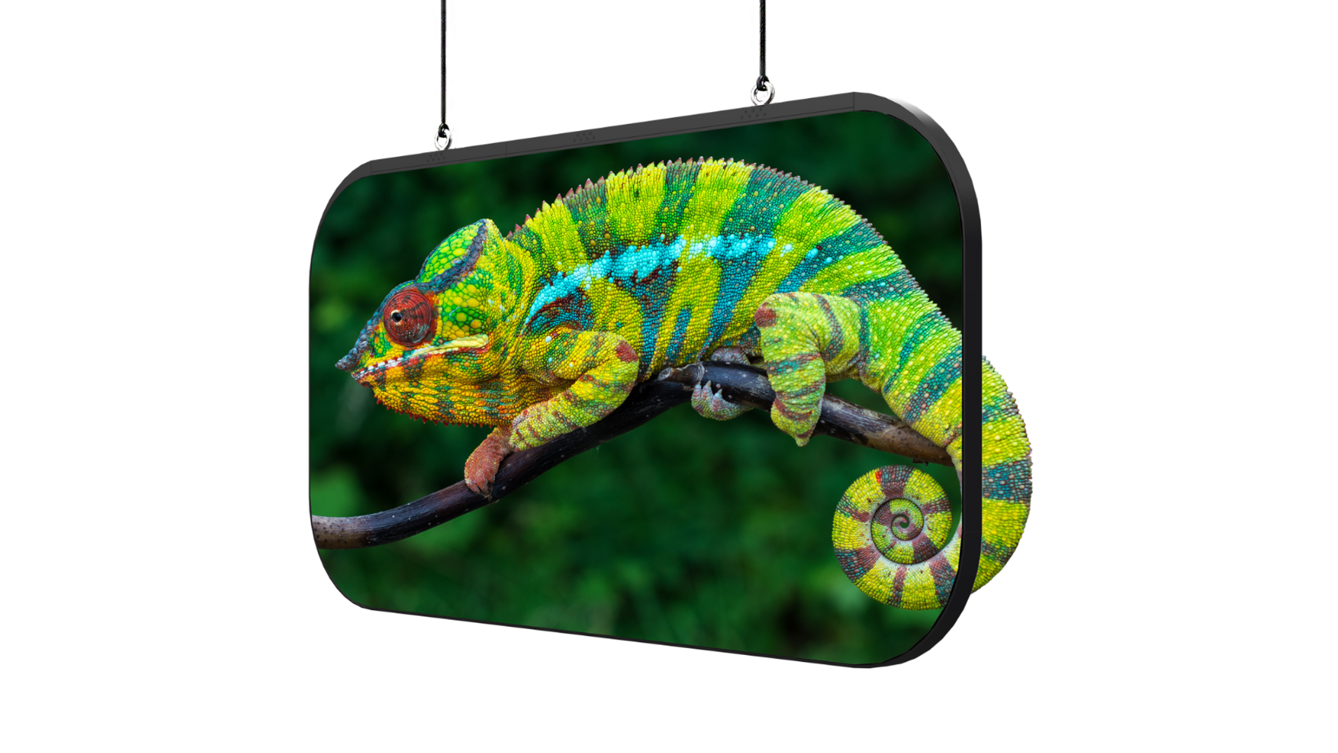 The new Planar Chameleon and Mosaic Series.