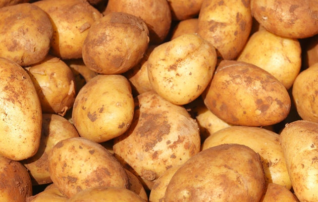 Potatoes