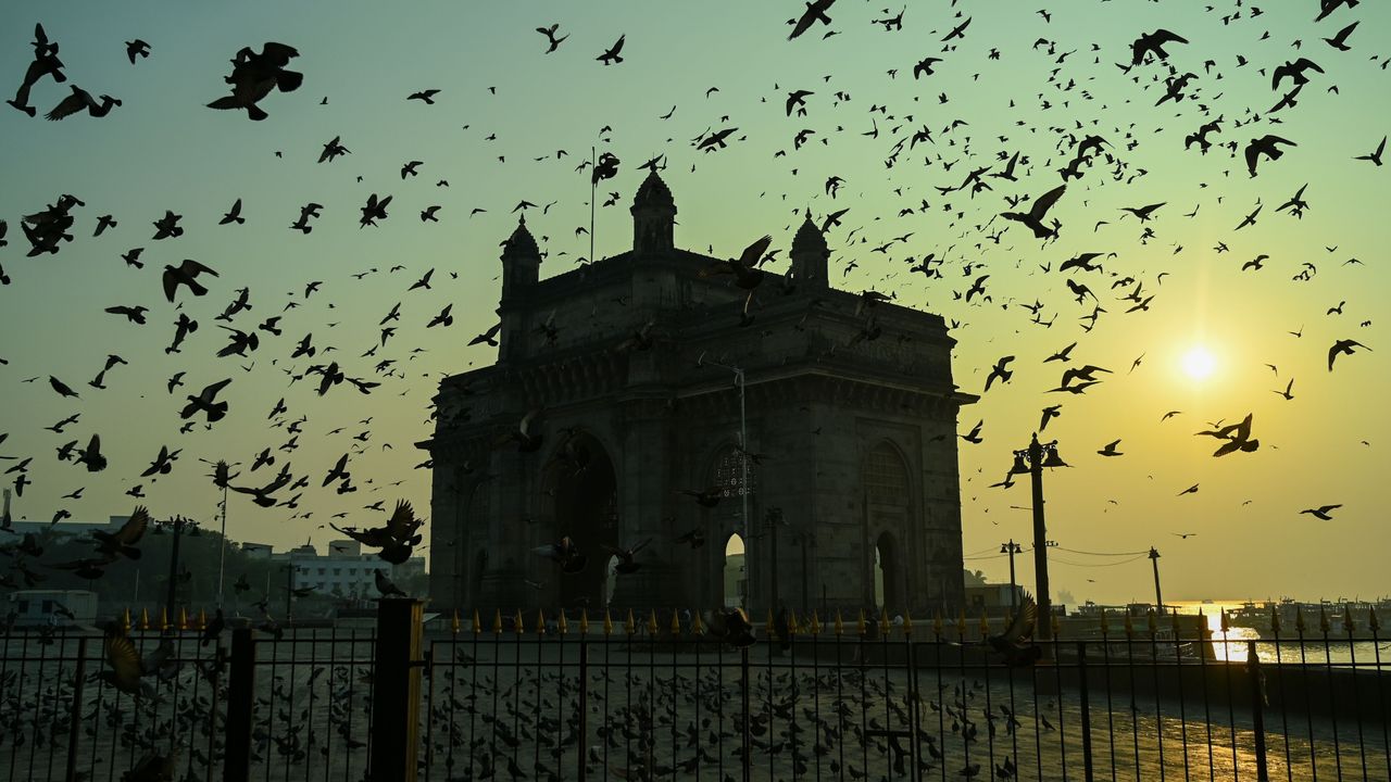 Pigeons fly over the Gateway of India at sunrise in Mumbai
