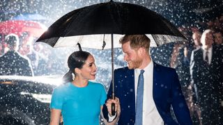 Harry and Meghan pictured in the rain
