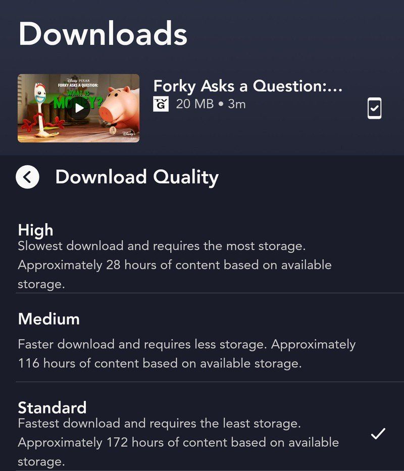 Disney+ standard download example