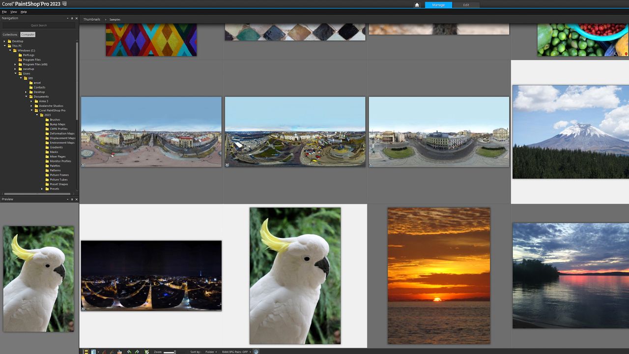 A screen grab from Corel PaintShop Pro