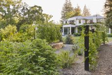 a large backyard with raised vegetable beds and a large White House in the background