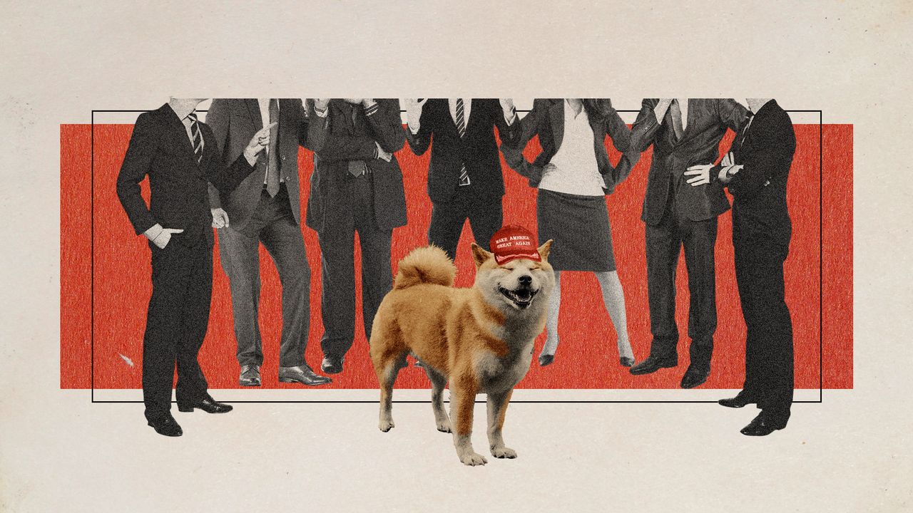 Photo collage of people in business attire arguing over a self-satisfied looking shiba inu