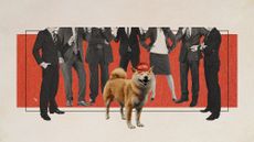 Photo collage of people in business attire arguing over a self-satisfied looking shiba inu