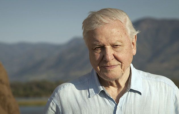 Dynasties - David Attenborough