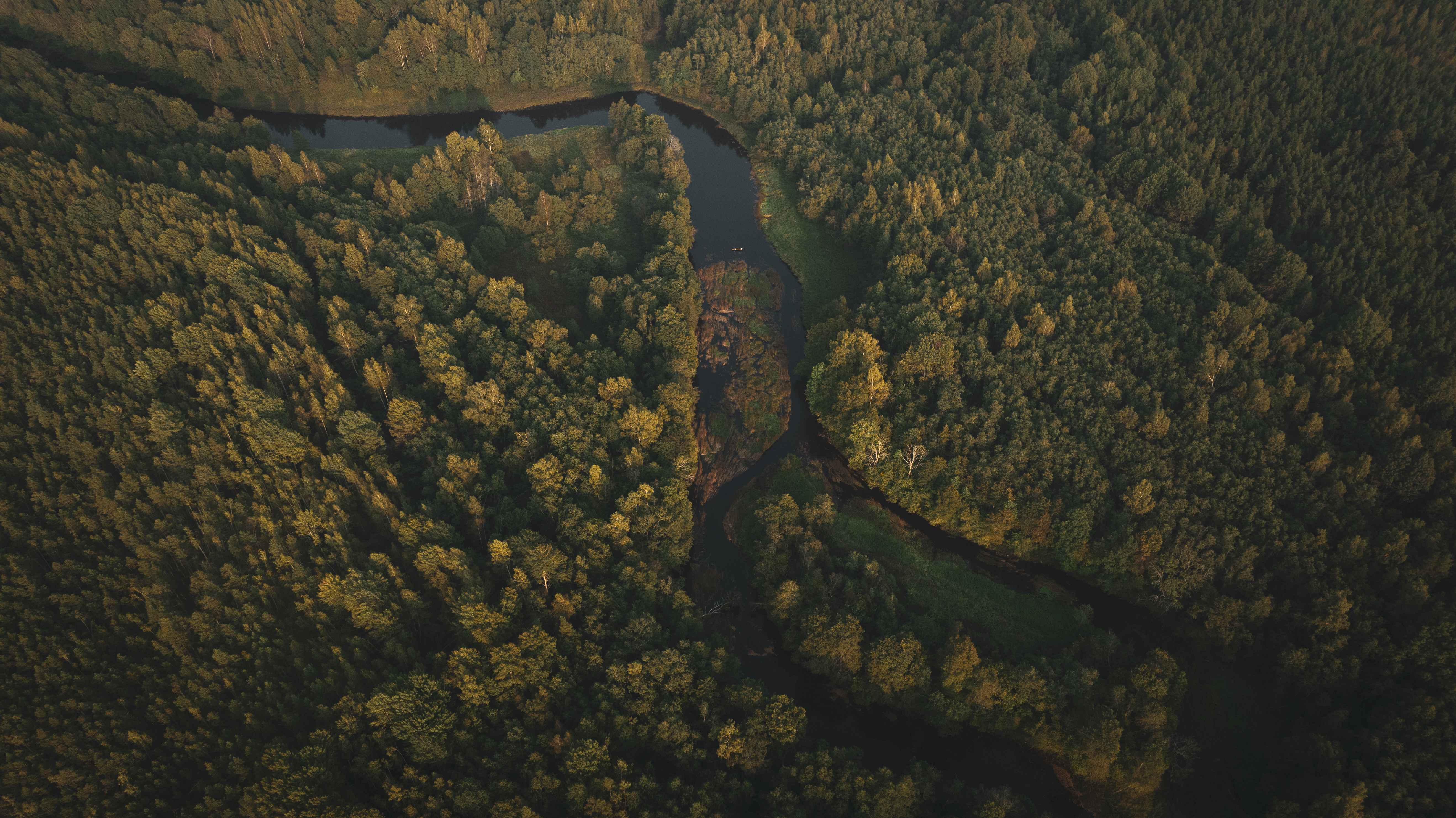 Aerial photo from Columbia's Insect Shield collection campaign shows changing wetlands