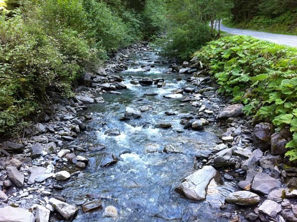 A river along the course