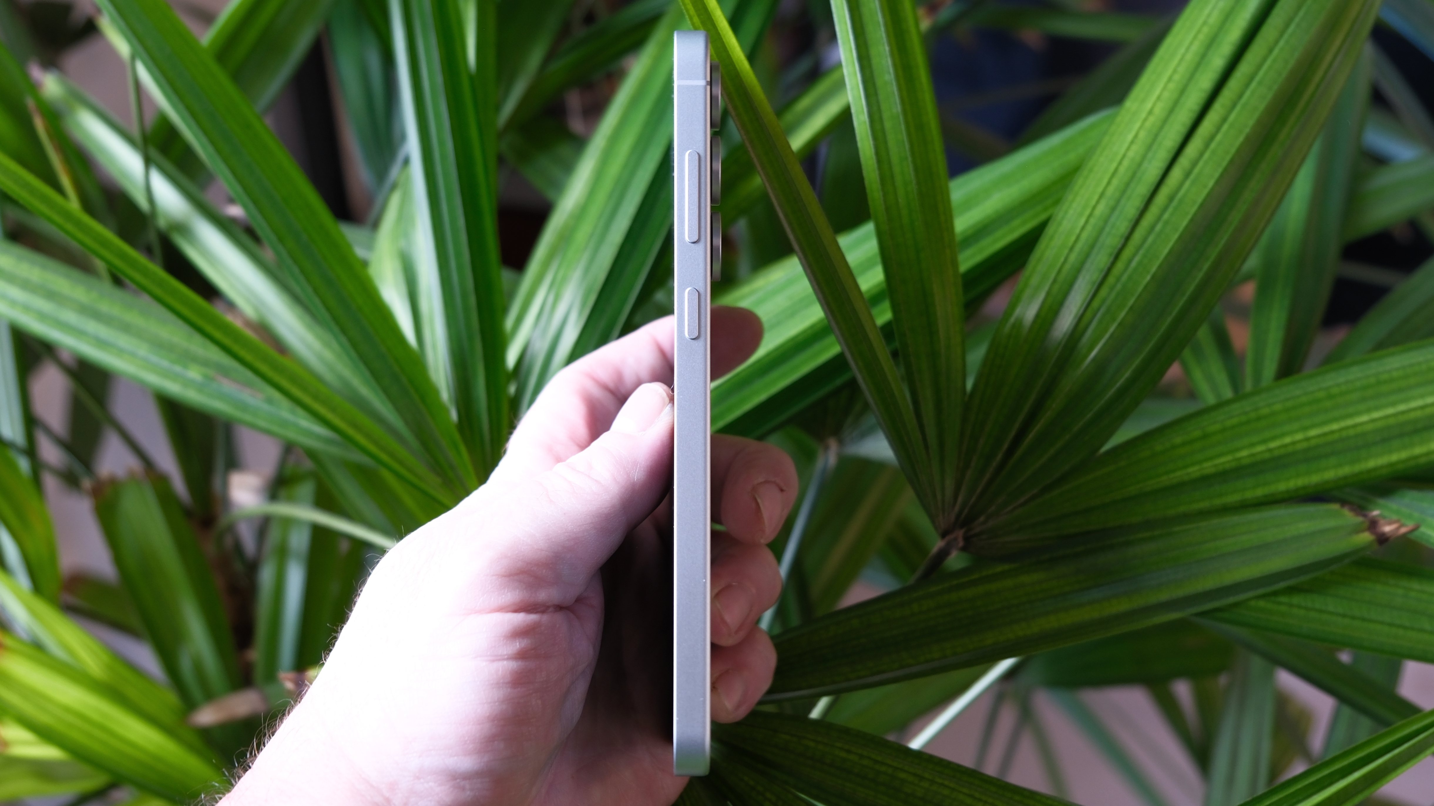 Samsung Galaxy S25 FE in hand with long green leaves behind