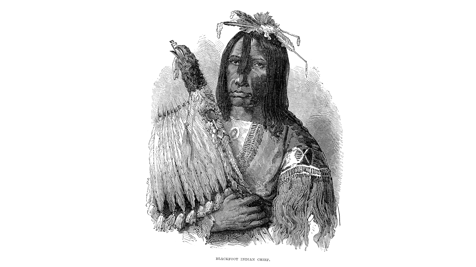 Vintage engraving showing a Blackfoot (NiitsÃ­tapi) Native American Chief, 1873.