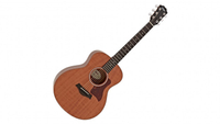 Taylor GS Mini