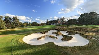 Ferndown Golf Club pictured