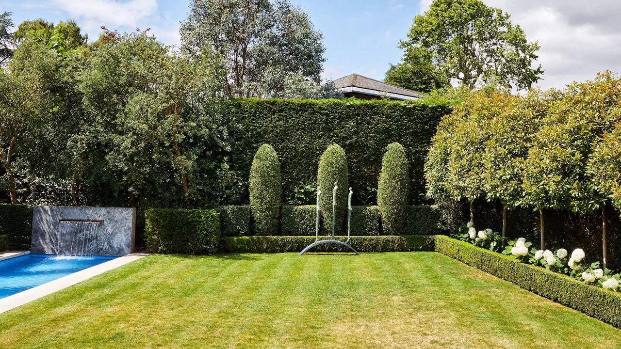 A manicured lawn with shrubs, trees, and a backyard pool