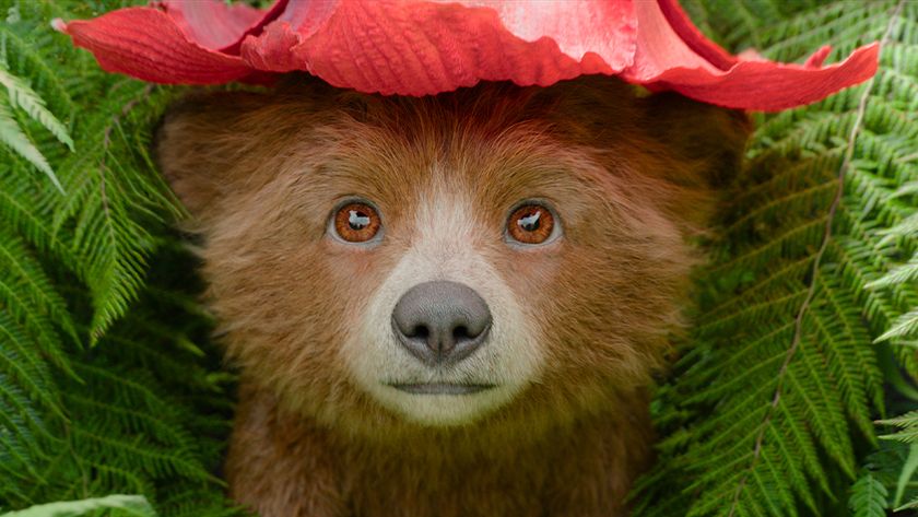 Making Paddington in Peru&#039;s character animation; a small bear in a red had sat in a jungle