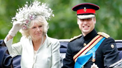 prince william camilla 1256277646