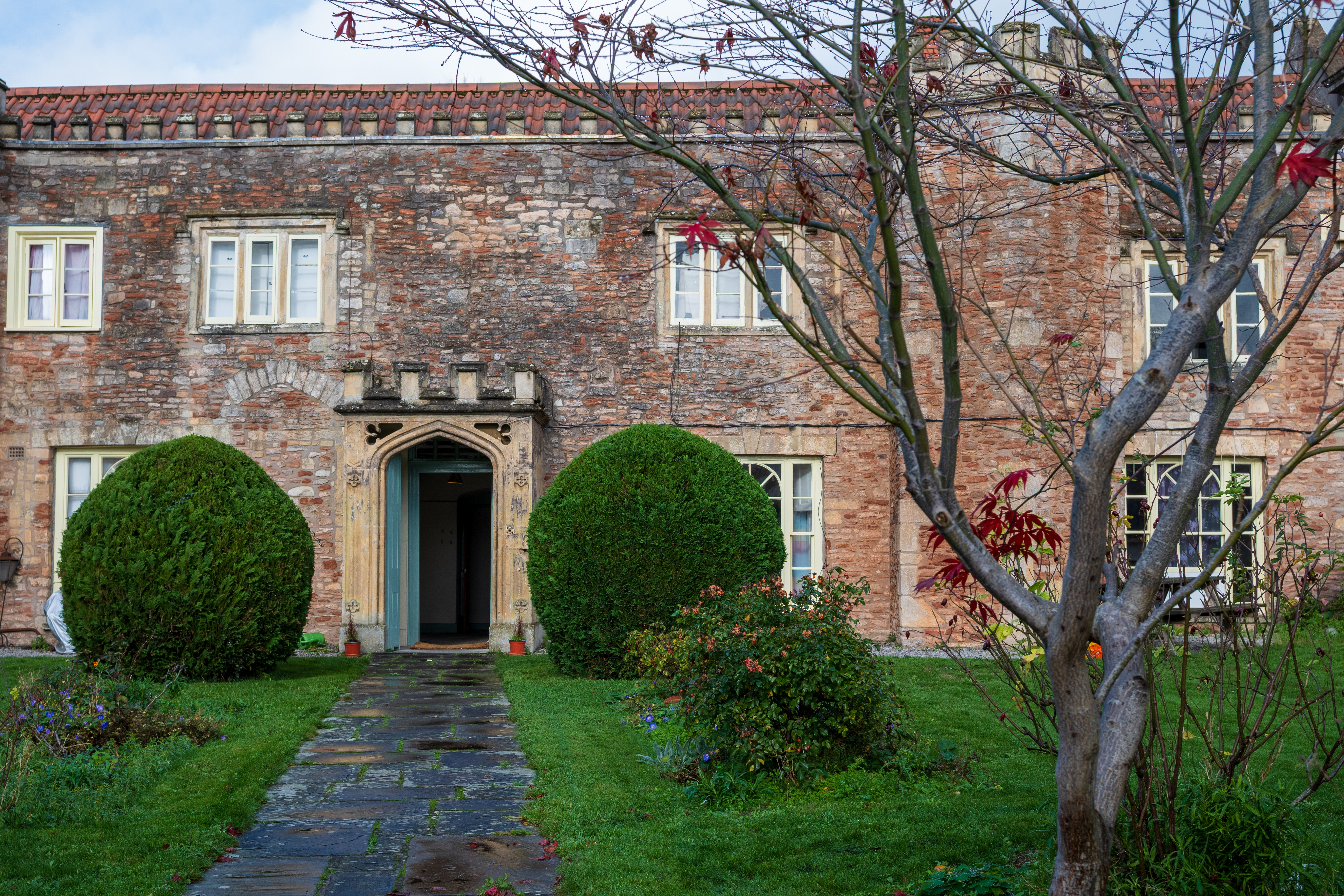 Nikon Z DX 16-50mm f/2.8 VR example shot